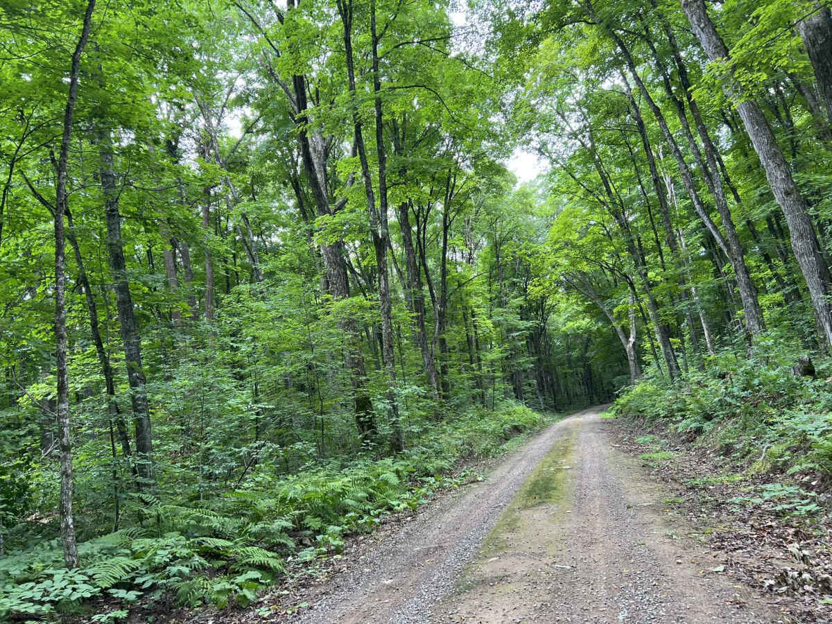 Loop Rd - FS 3903 photo 4