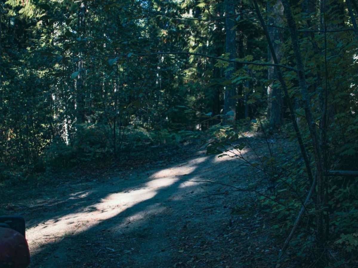 Cougar Spur photo 3