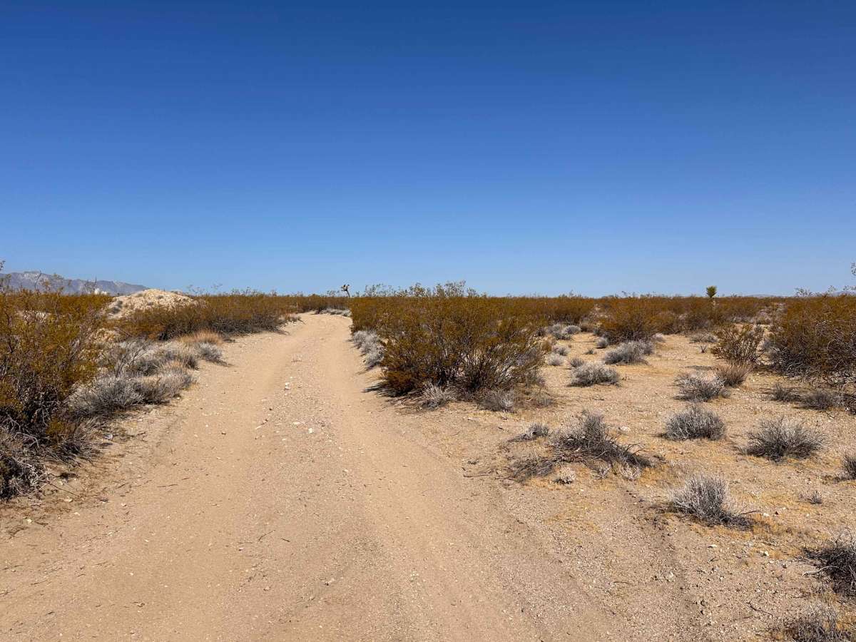 Tamarisk Mine Loop photo 4