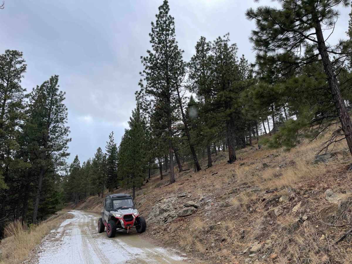 Lloyd Scenic Loop trail photo