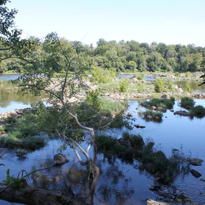 Near Scott's Run Nature Preserve