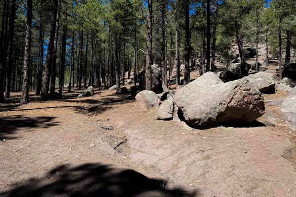 Lake Fork Mesa - 505 