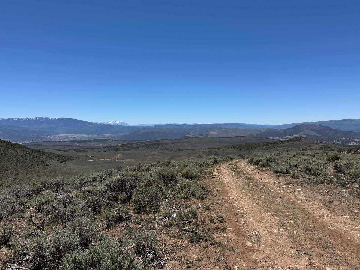 BLM 8485B photo 4