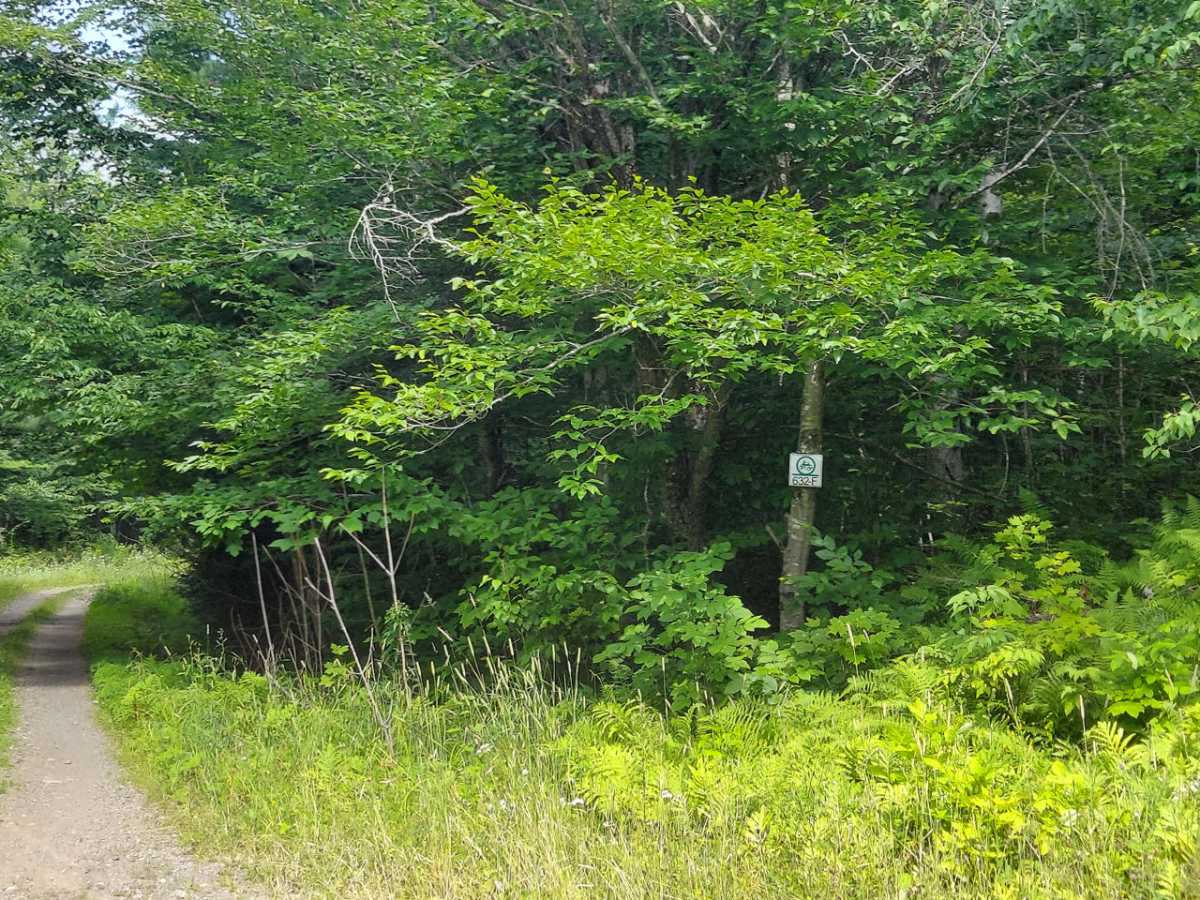 Truck Trail 1 photo 2