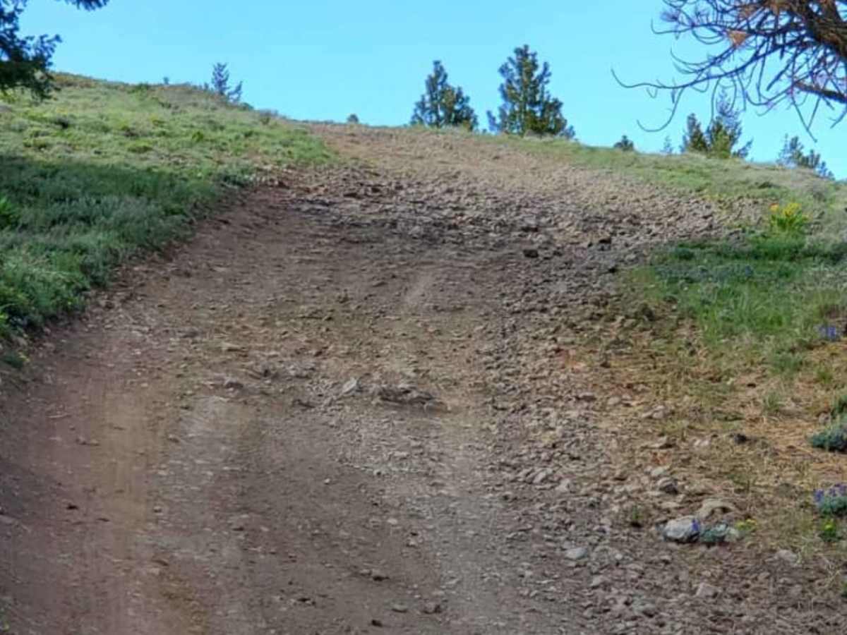 Cleman Mountain trail photo