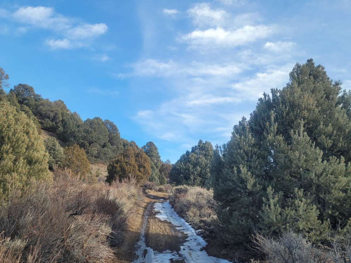 Utopian Mine Trail photo 2