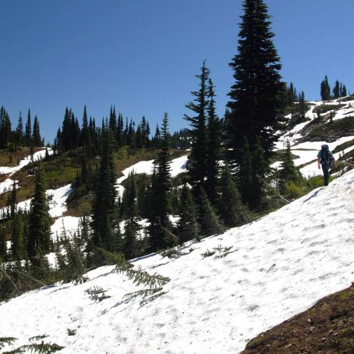 Near Naches Peak Loop