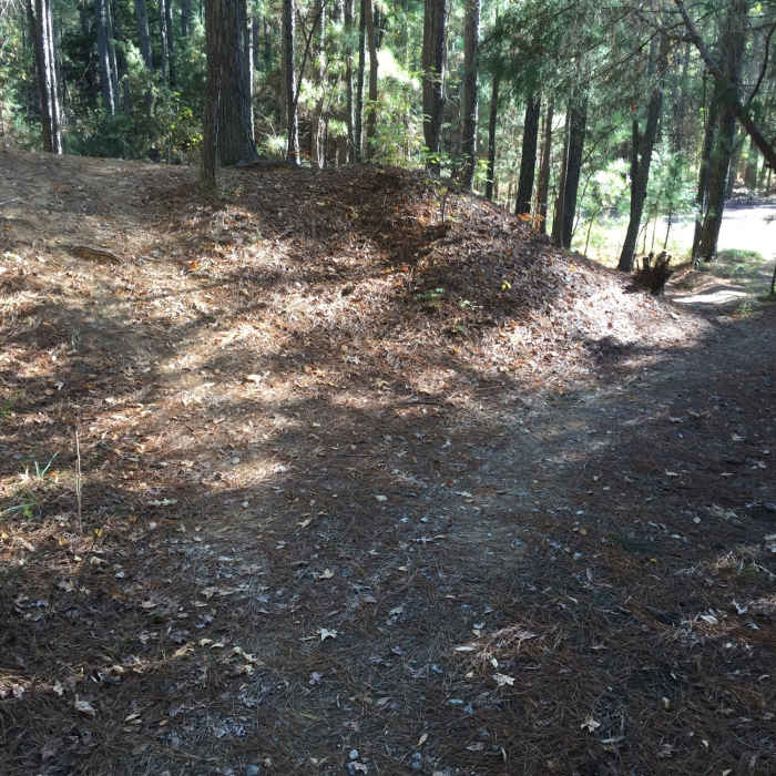 Near Neverland's Inner Loop