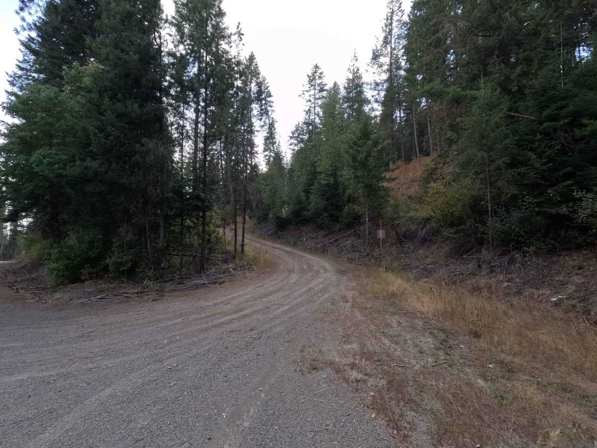 FS 5000020 trail photo