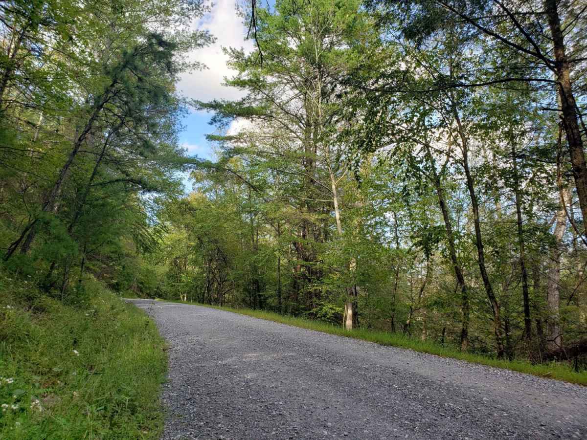 Birch Run trail photo