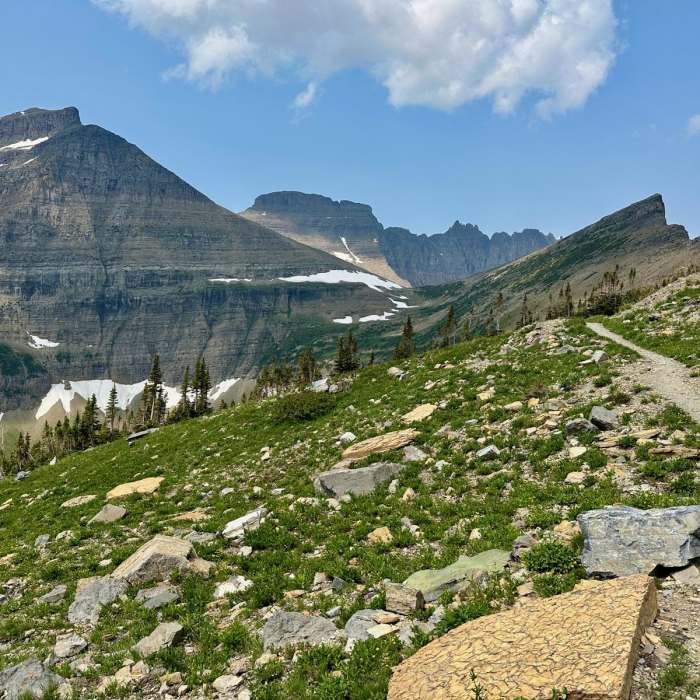 Near Continental Divide Trail: Montana-Idaho Section 29