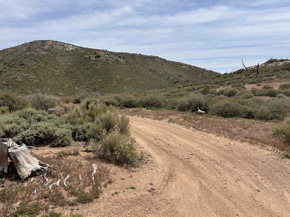 Prospector's Cutoff photo 4