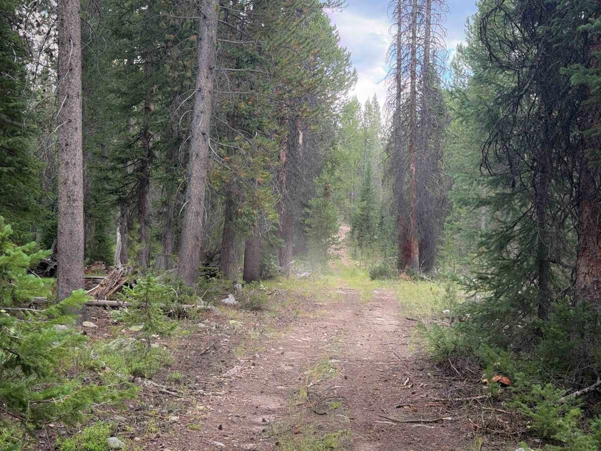 Broadhead Loop - FS 306A  photo 4