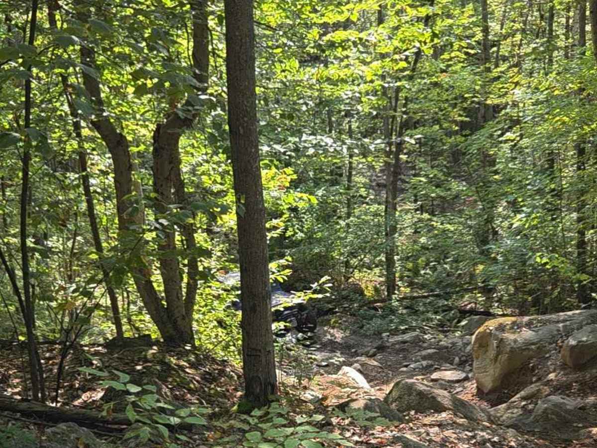 Jericho Black Trail photo 4