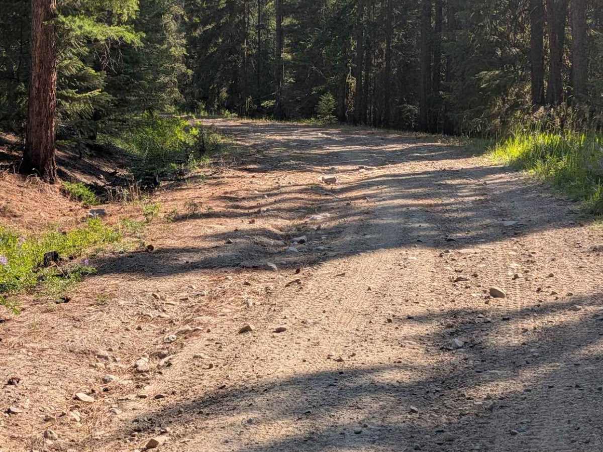 FS 3800-360 trail photo