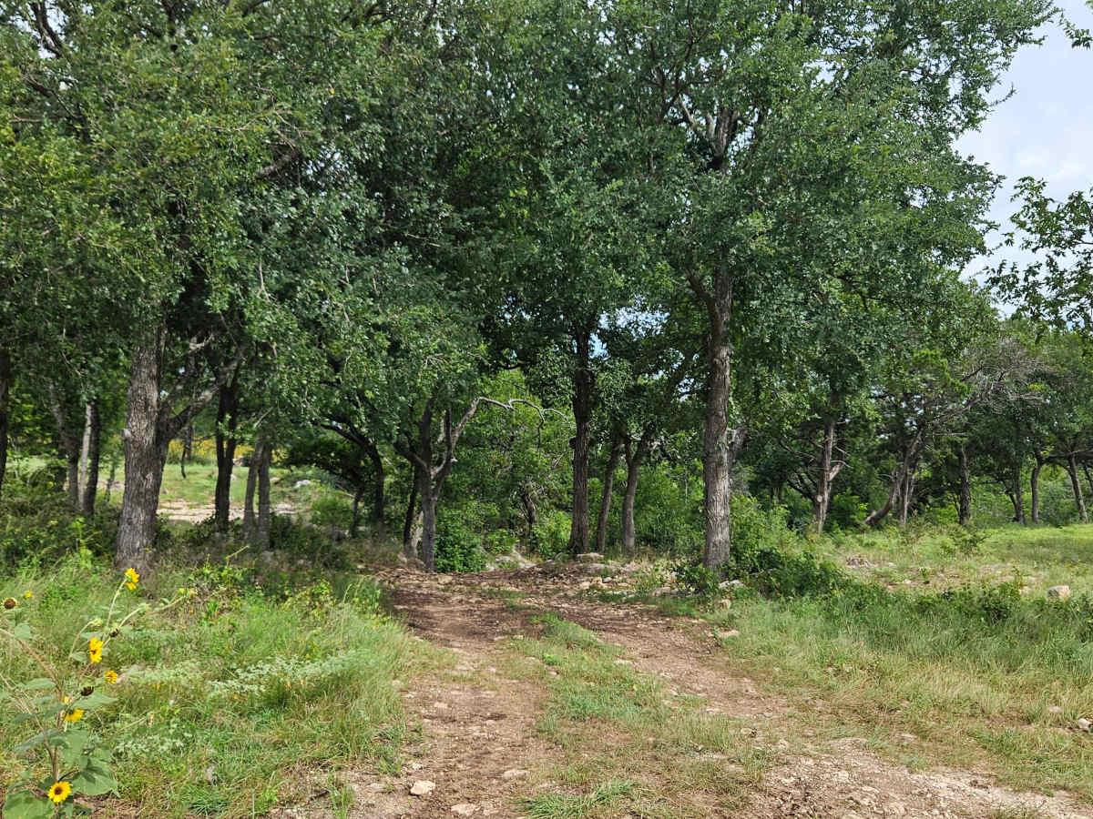 DOMO Quarry Cave Trail photo 3