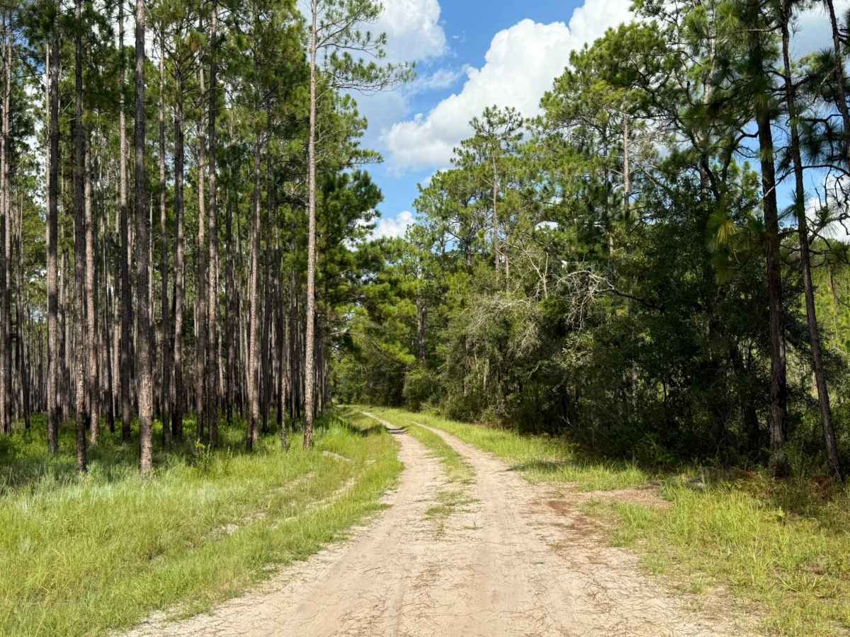 Countyline Road photo 3
