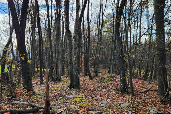 OHV 9 - Rock Run Recreation Area