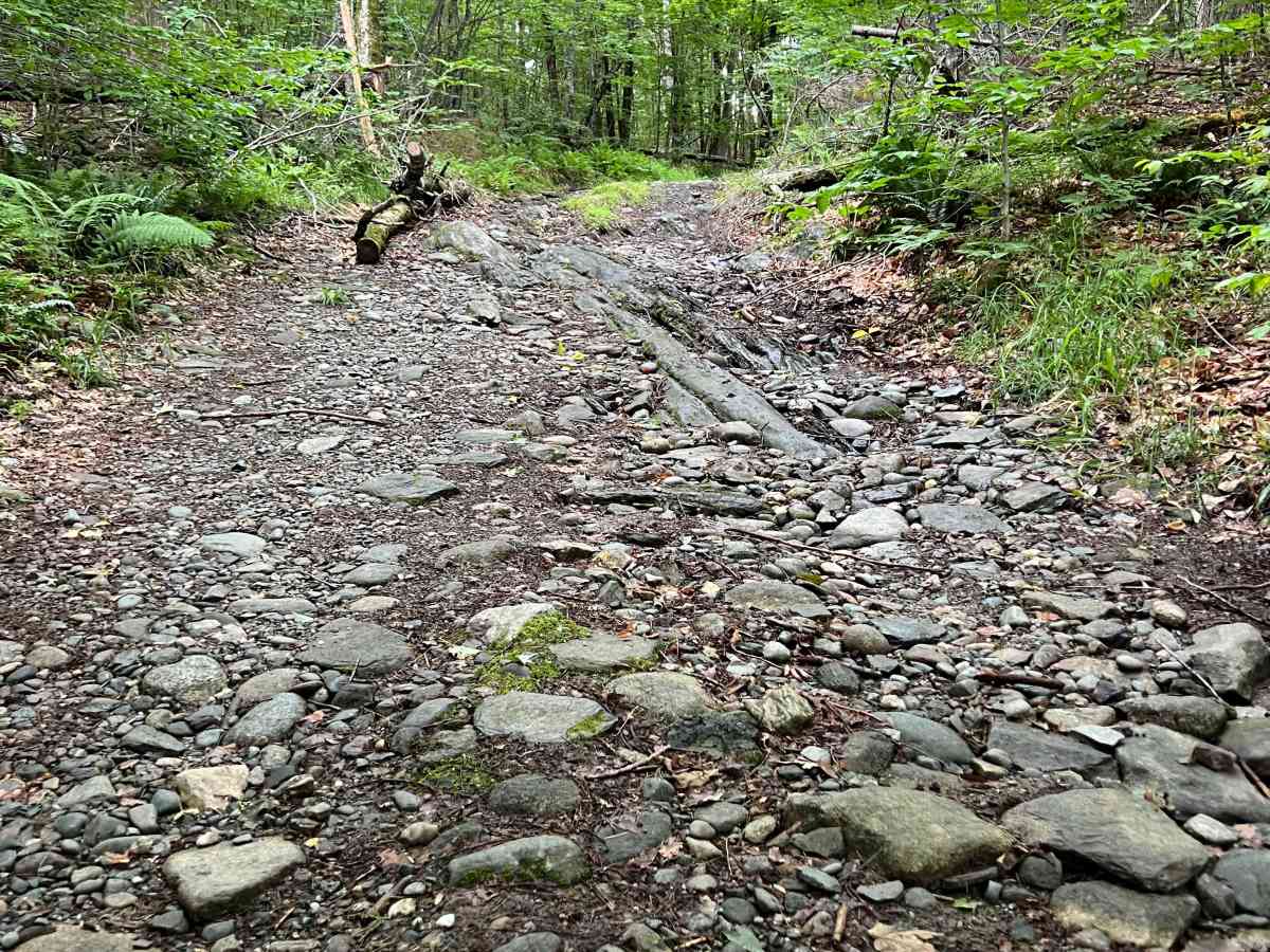 Turnpike Road photo 5