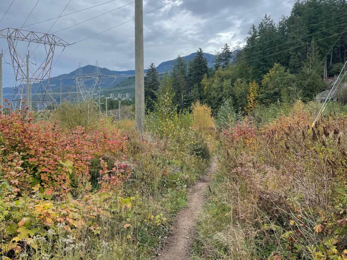 Rob’s Rip Cut Out trail photo