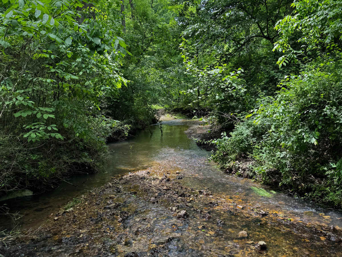 Hillside Adventure  photo 3
