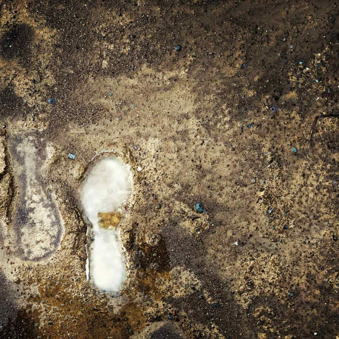 Near Matt Davis Trail