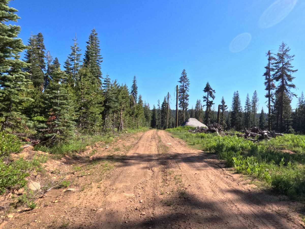 Silver Meadow - FS 11N37G trail photo