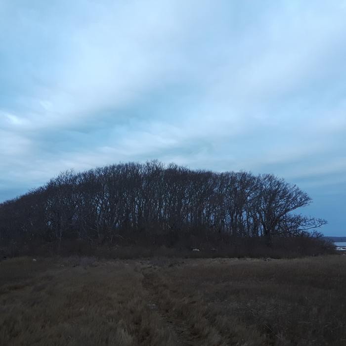 Early spring walk out to the island. Near Weekapaug Beach