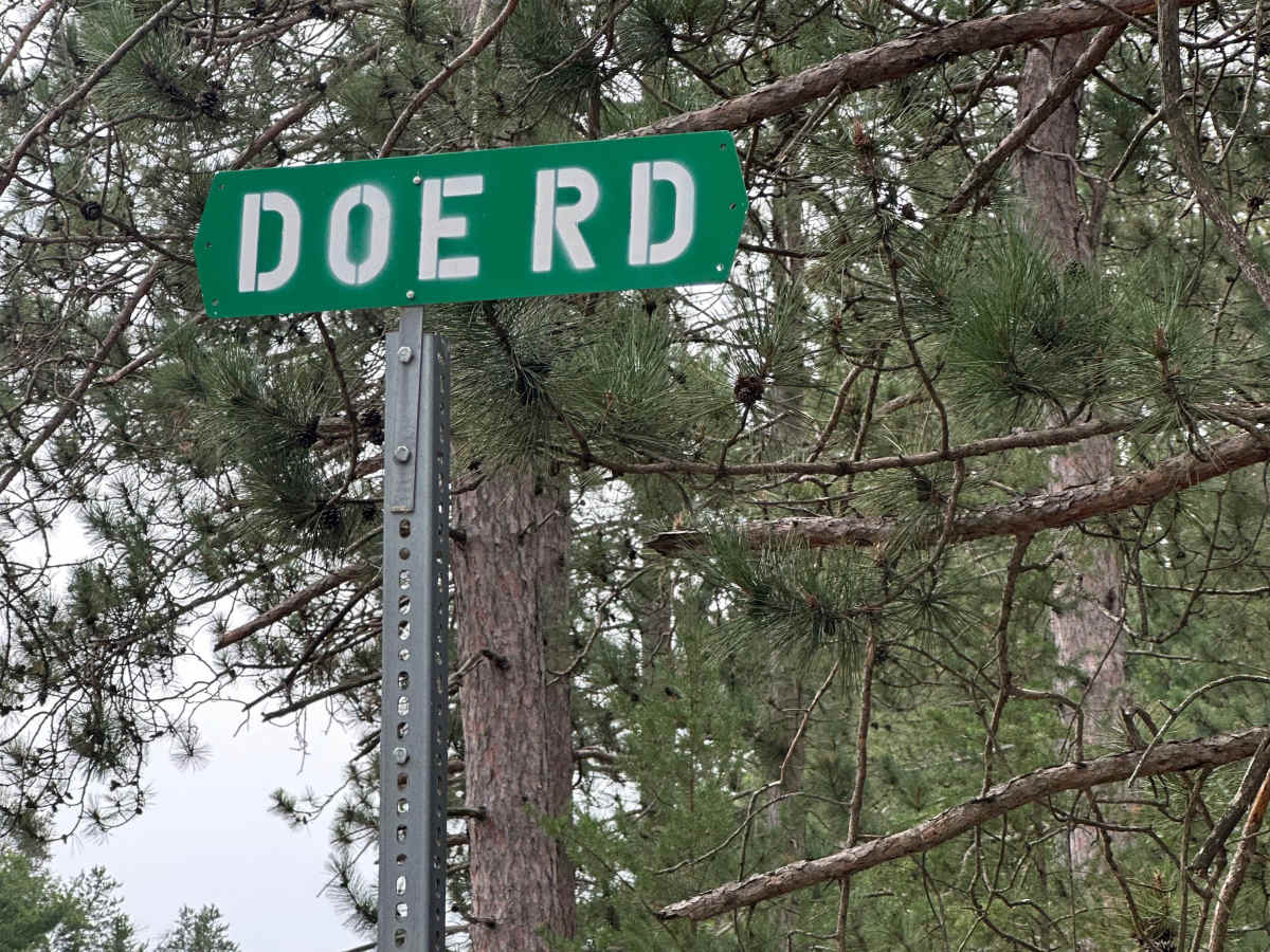 Doe Road trail photo