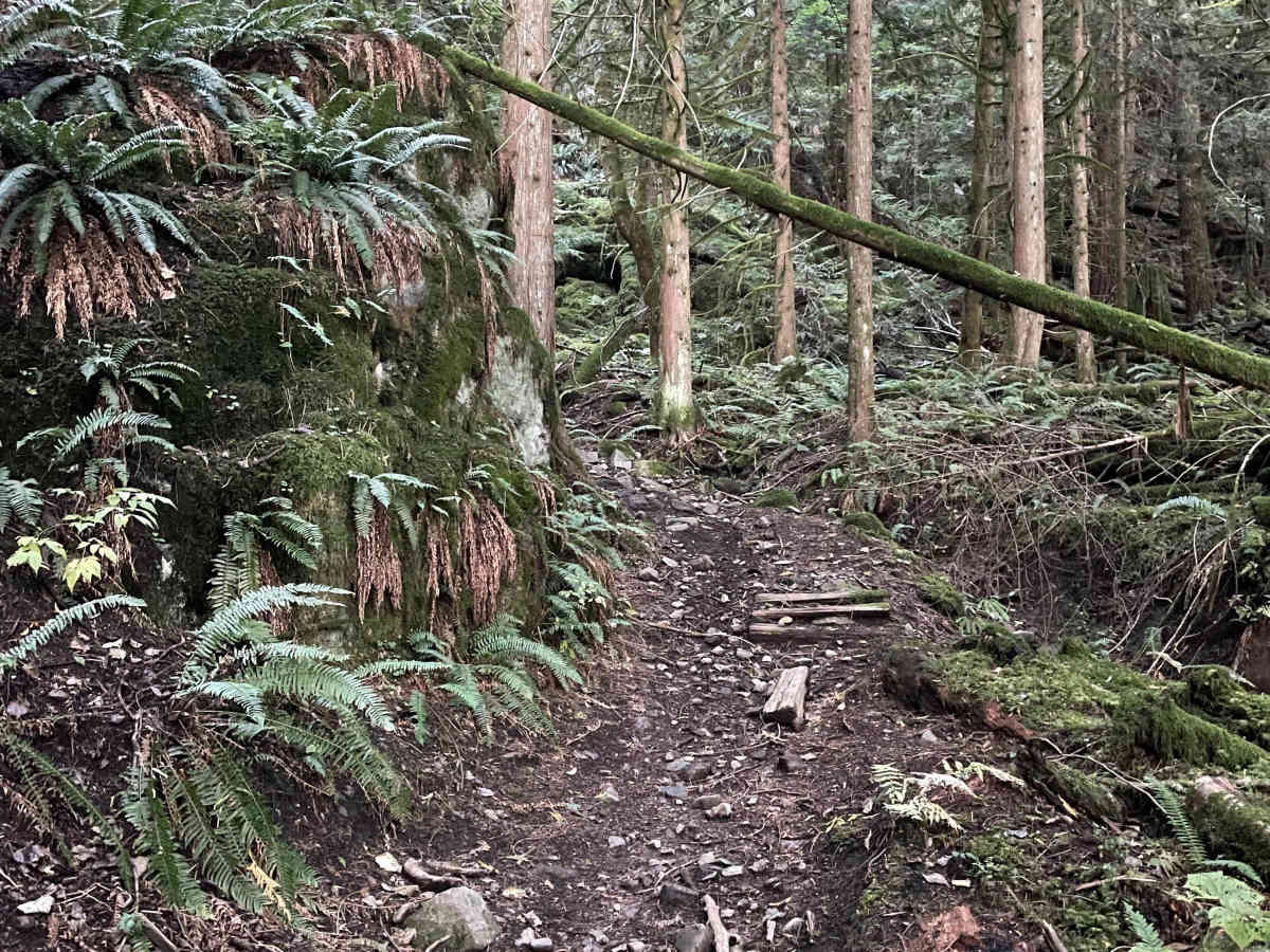 Beggers Gulch Connector photo 3