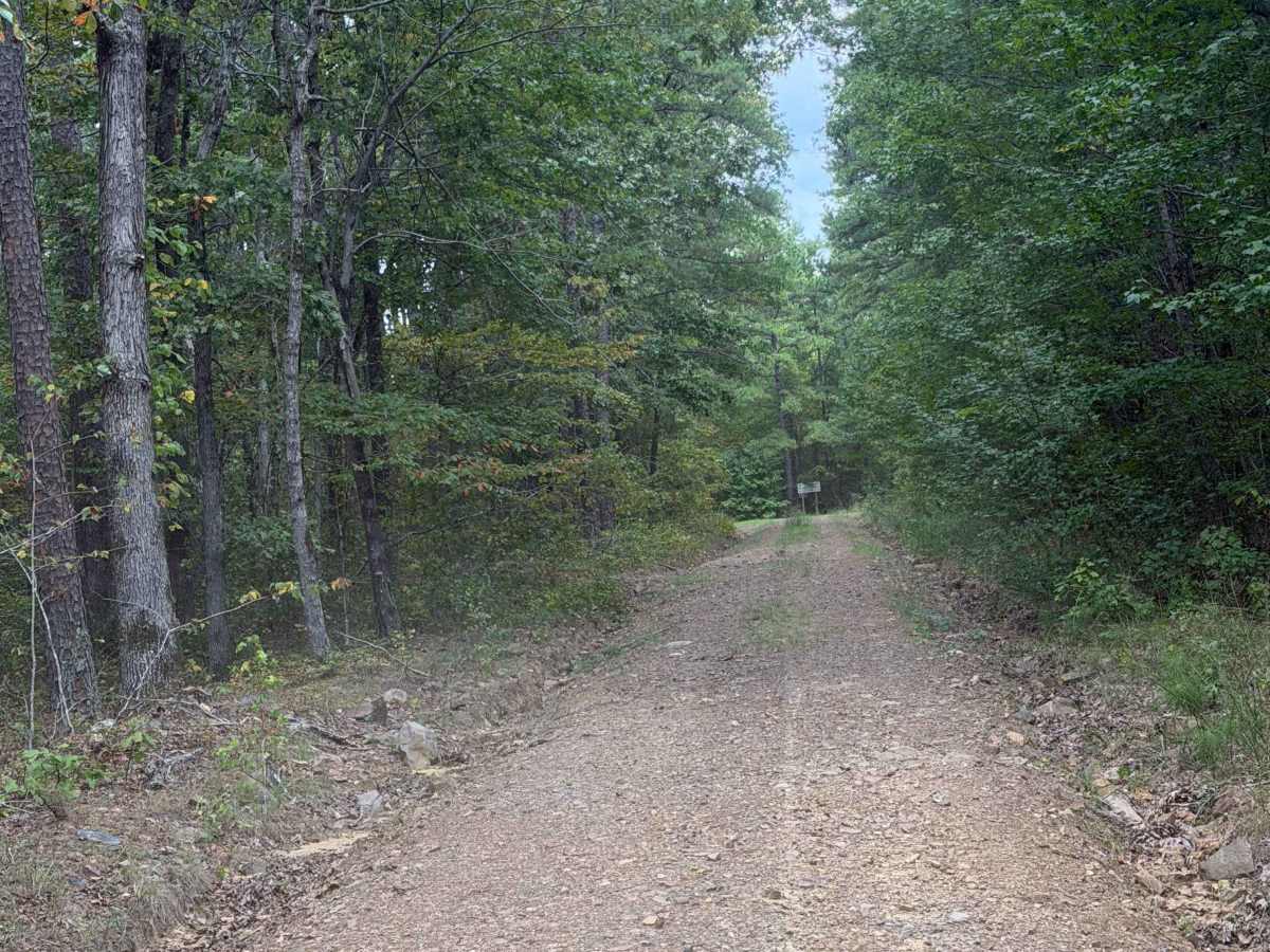 Alum Cross Loop photo 3