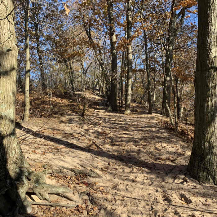 Looking towards Mount Baldhead. Near Water Tower - Lagoon - Mount Baldhead - Oval Beach