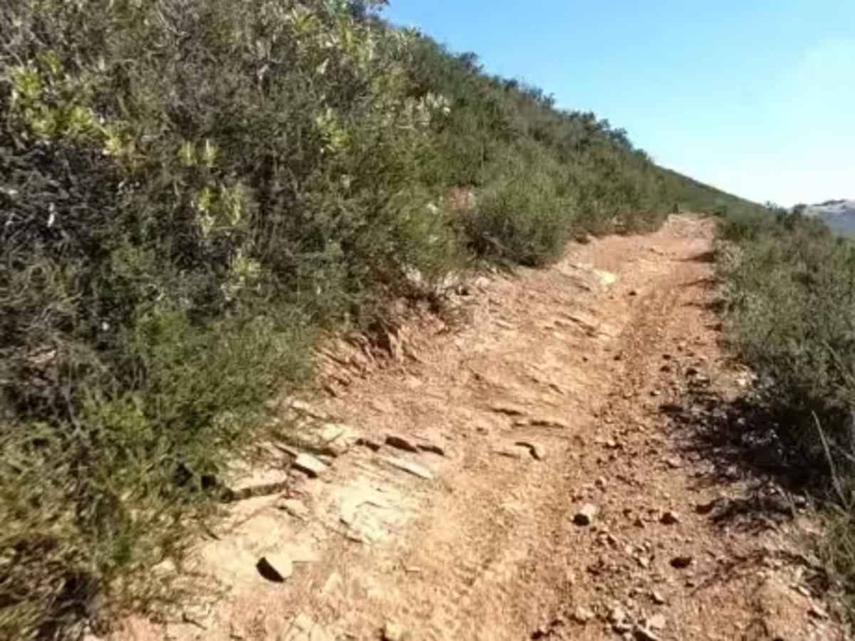 Ridge Trail photo 4