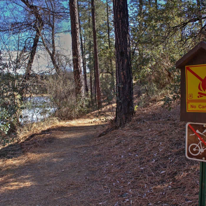 Lynx Lake Near Lynx Lake Trail #0311