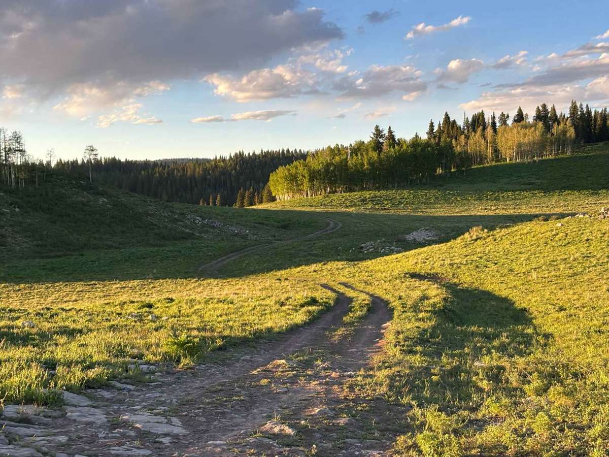 Clark Ridge photo 5