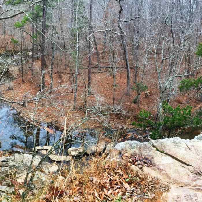Near Rhododendron Bluffs Trail