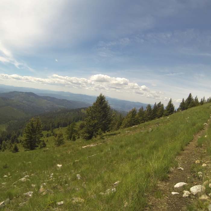 Near Kettle Crest North Trail #13