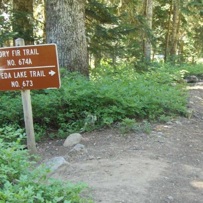 Near Veda Lake Trail #673