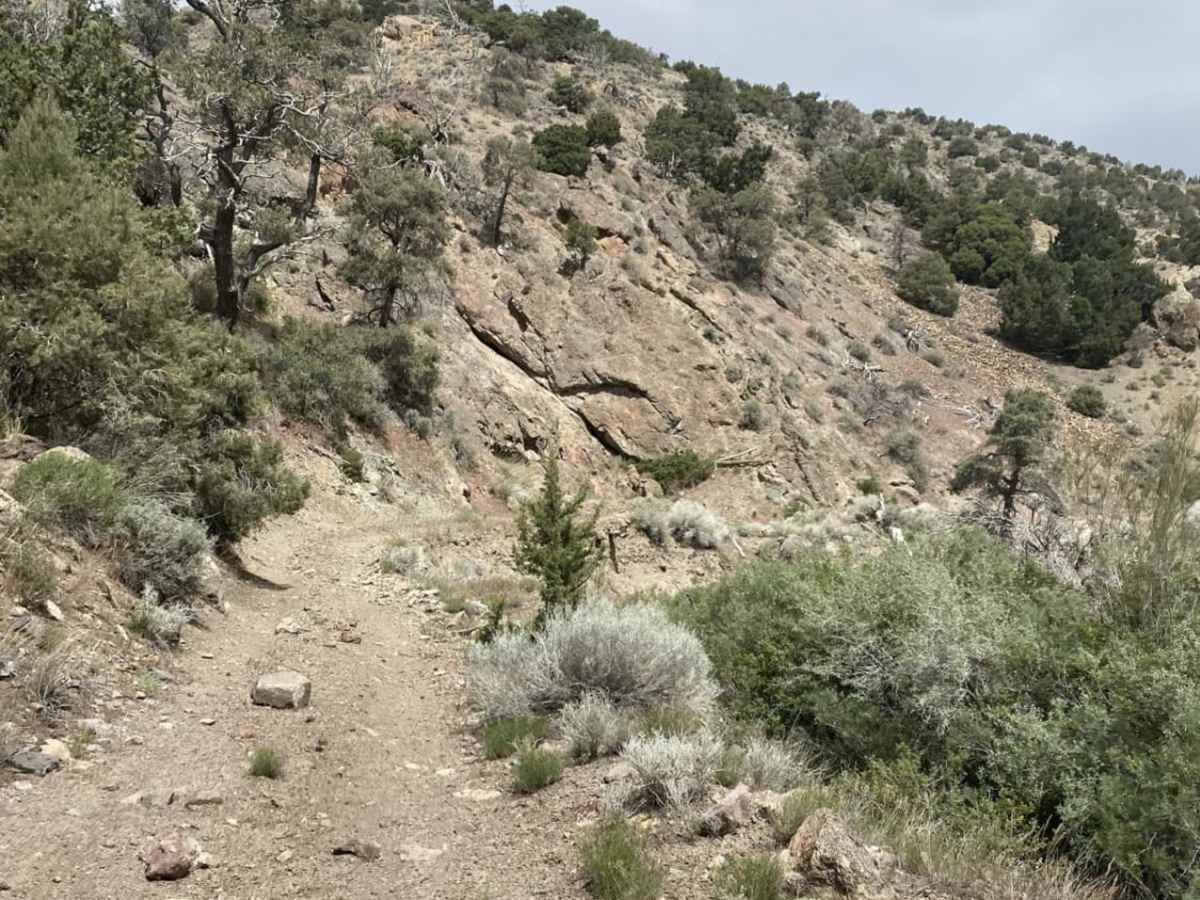 Stillwater Range photo 2
