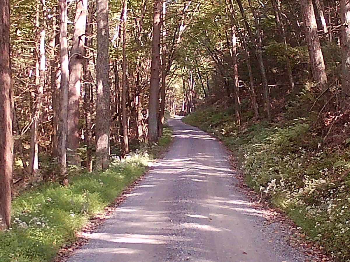 Short Mountain Road photo 2