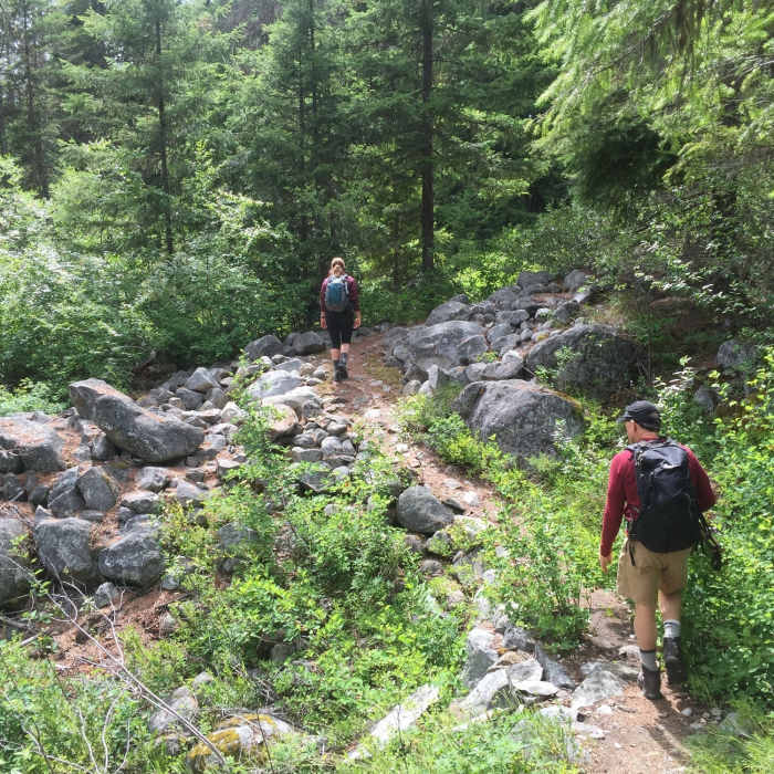 Near Chatter Creek Trail #1580