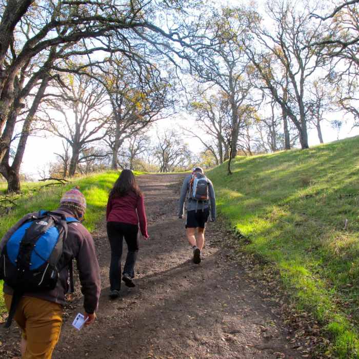 Near Mount Diablo Hike via Mitchell Canyon Visitor Center Near Mount Diablo Hike via Mitchell Canyon Visitor Center