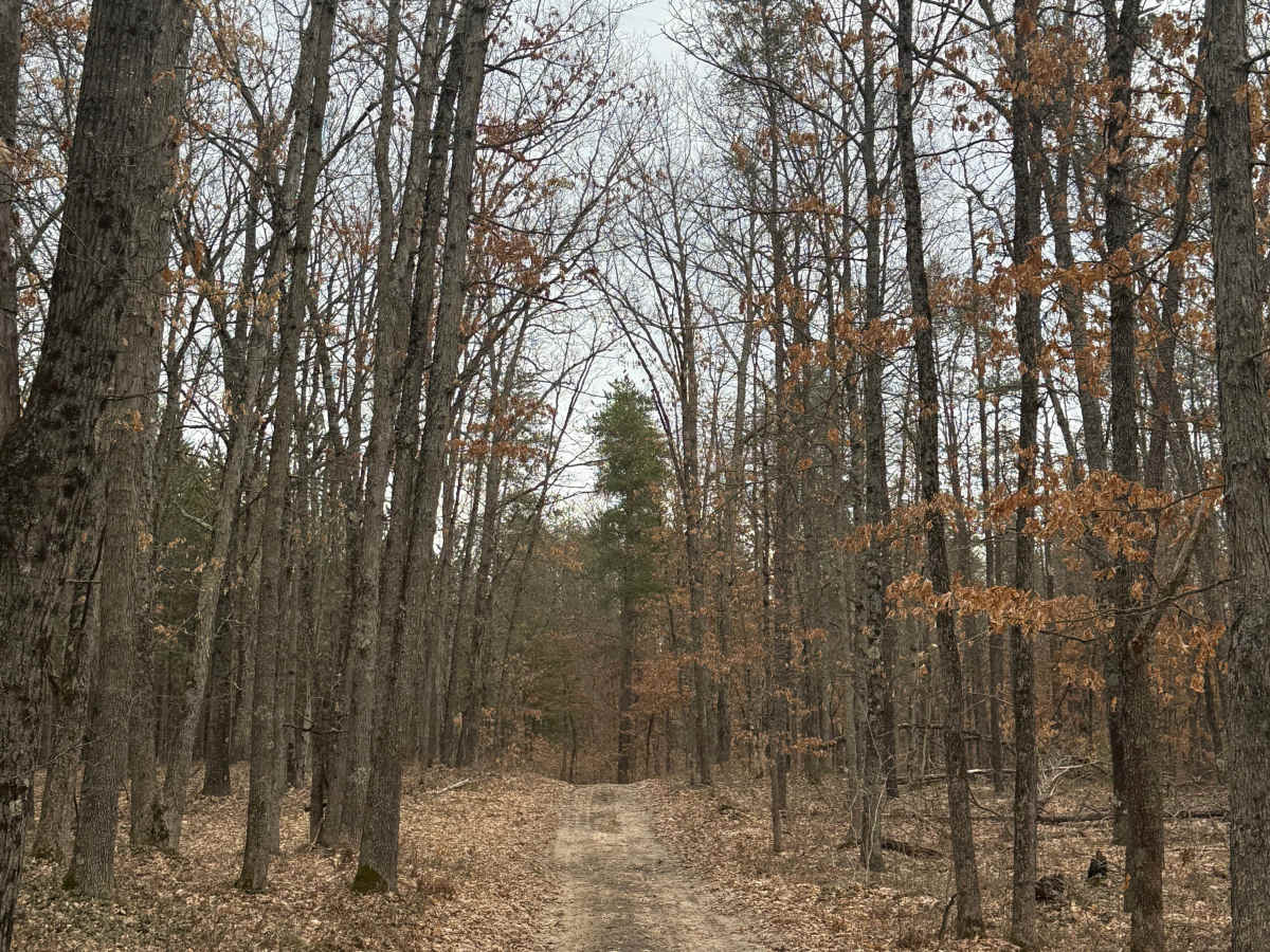 FS 8711 trail photo