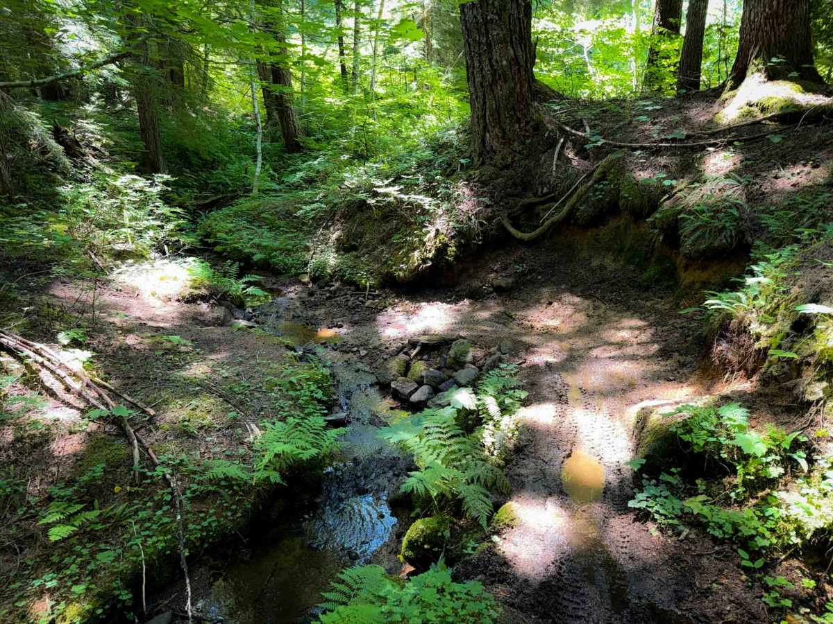 Silver Creek Trail - 258 photo 5