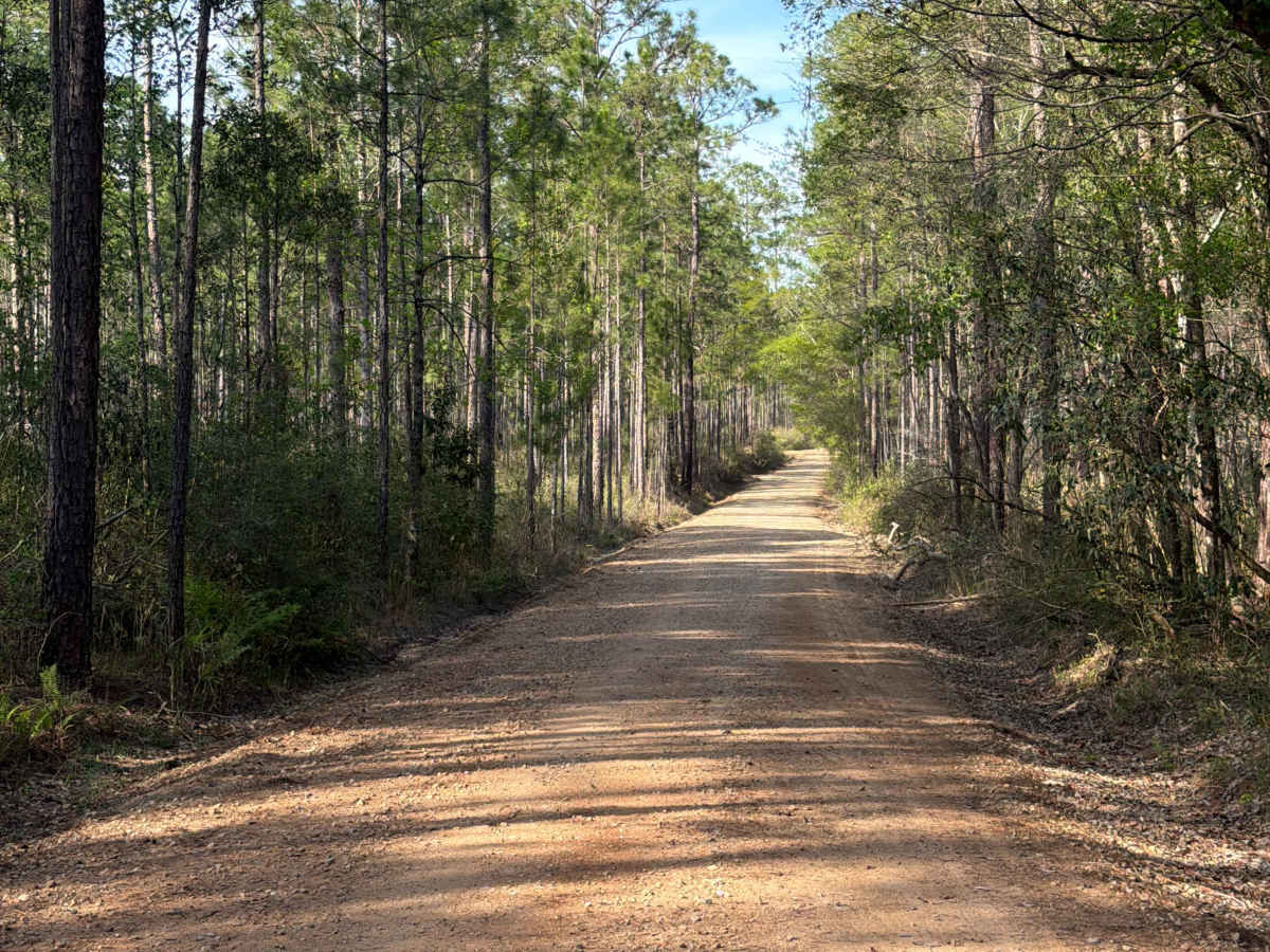 Three Notch Trail photo 3