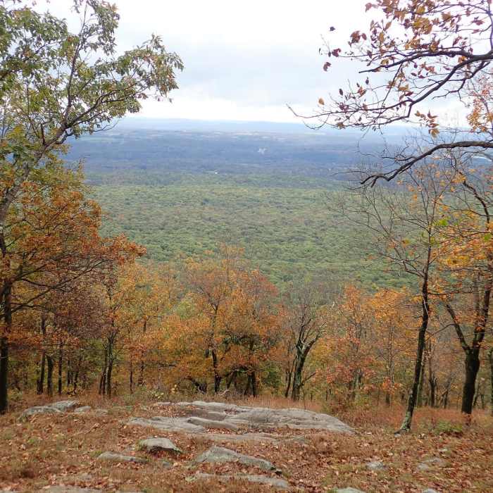 Near Sunfish Pond via Mt. Tammany Fire Road
