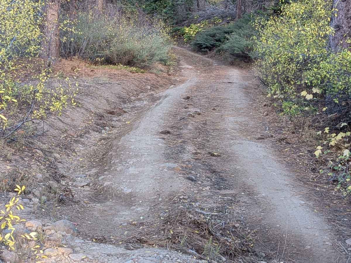 FS5N39Y trail photo