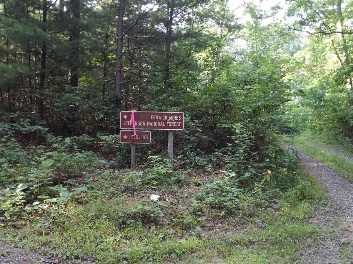 Fenwick Mines trail photo