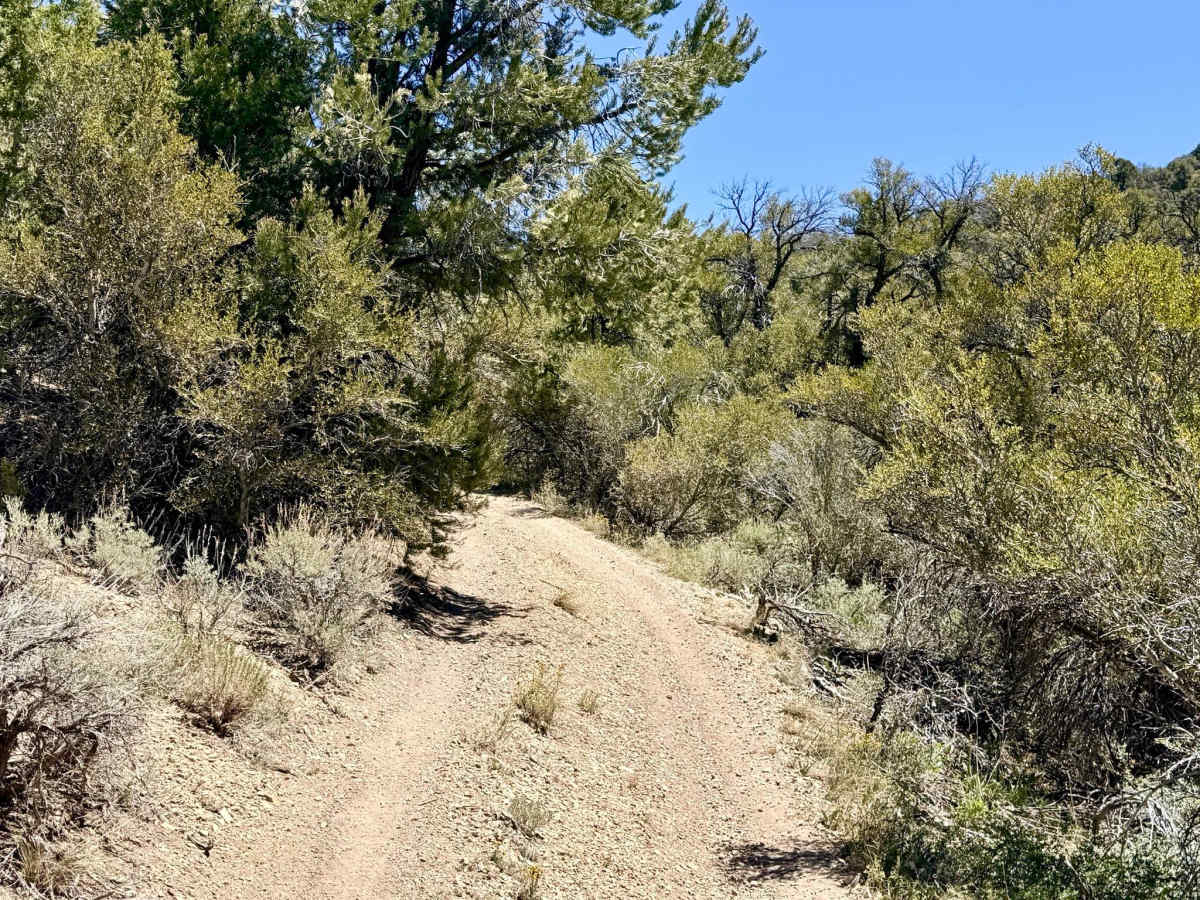 Upper South Brock Connector - FS 43514 photo 6