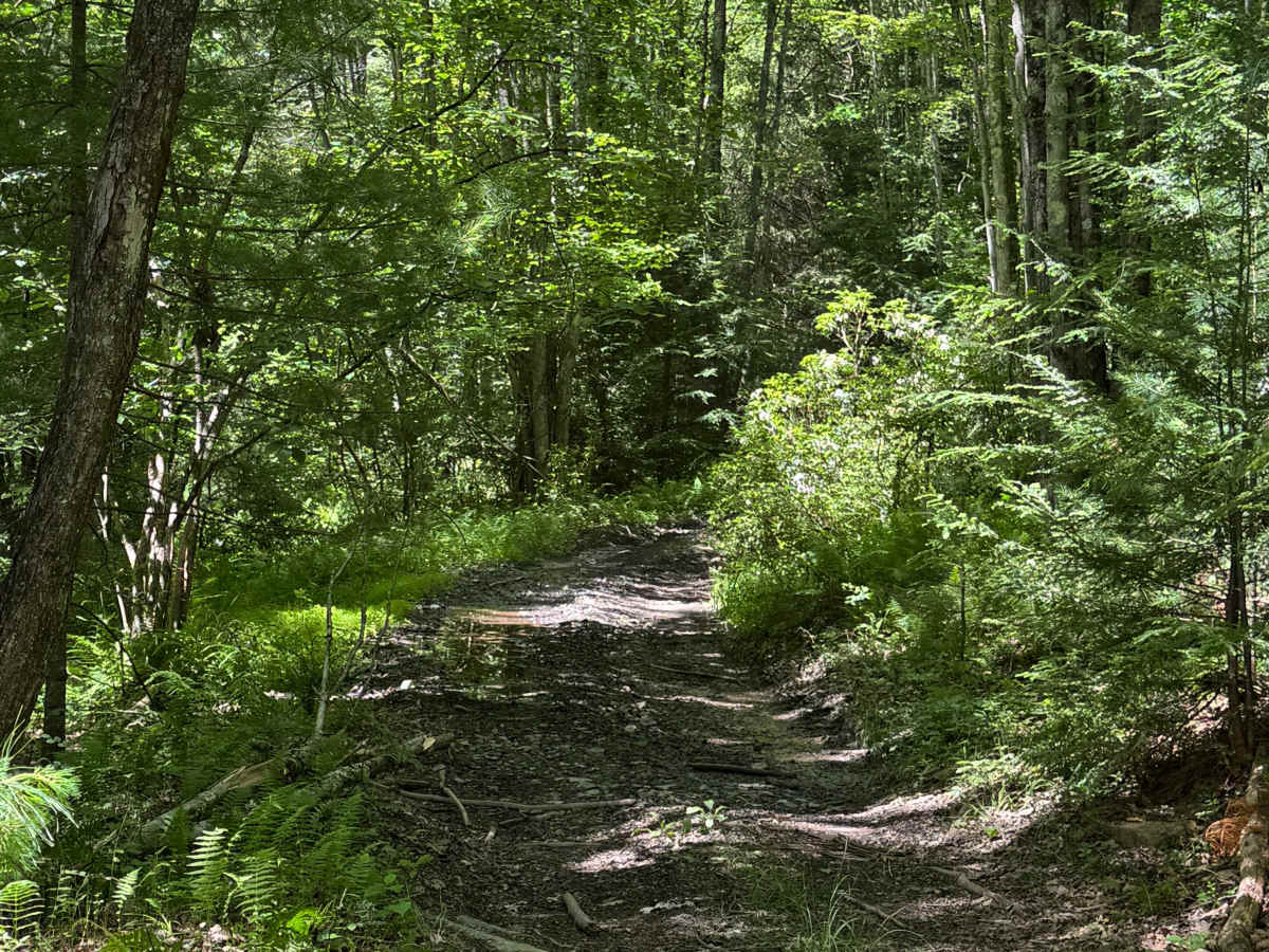 Furnace Trail photo 3